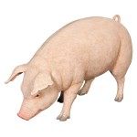 Design Toscano Divine Swine Life Size Farm Pig Statue