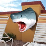 Design Toscano Great White Shark Head Trophy