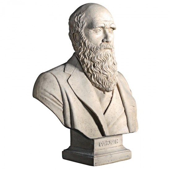 Design Toscano Darwin Bust