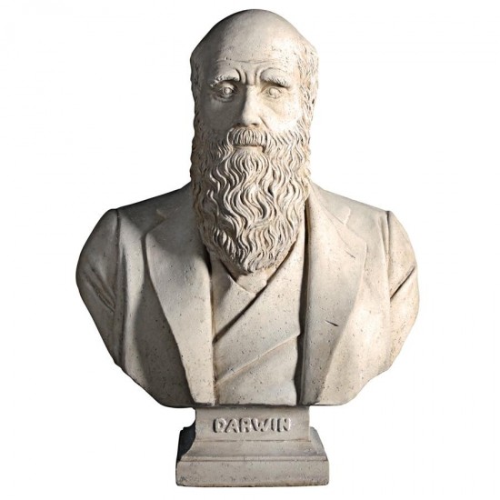 Design Toscano Darwin Bust