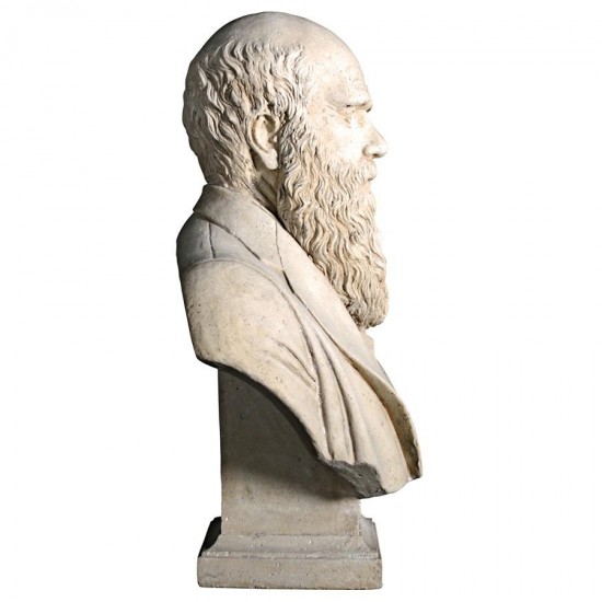 Design Toscano Darwin Bust
