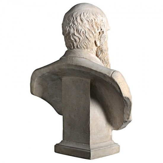Design Toscano Darwin Bust