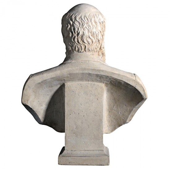 Design Toscano Darwin Bust