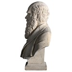 Design Toscano Darwin Bust