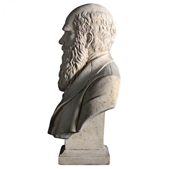 Design Toscano Darwin Bust