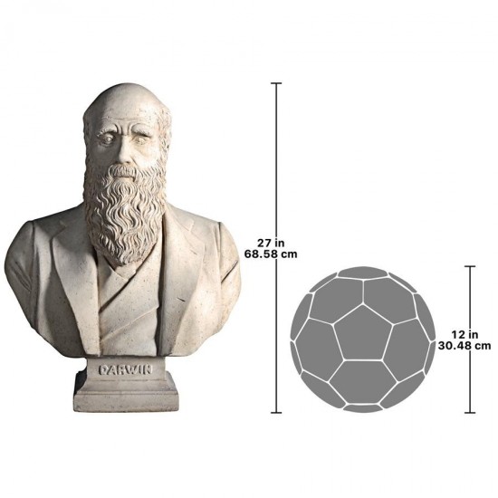 Design Toscano Darwin Bust