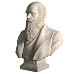 Design Toscano Darwin Bust
