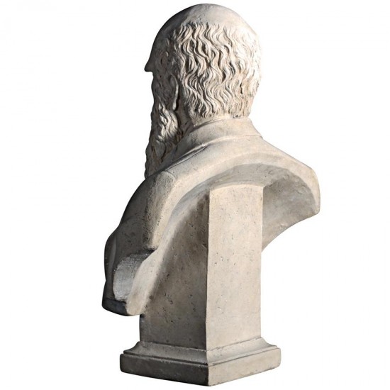 Design Toscano Darwin Bust