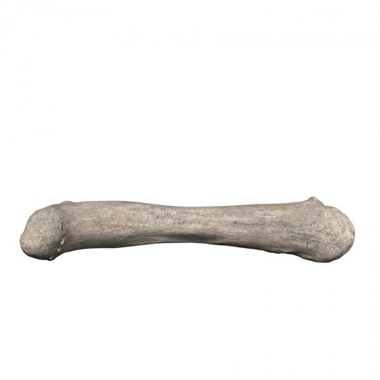 Design Toscano Apatosaurus Femur Fossil Statue