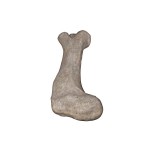 Design Toscano Apatosaurus Femur Fossil Statue