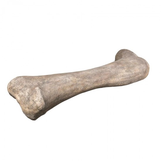 Design Toscano Apatosaurus Femur Fossil Statue