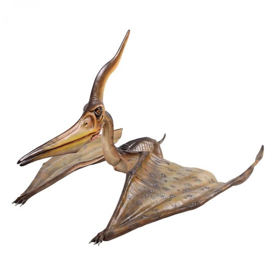 Design Toscano Pteranodon Ingens Statue Frt-Quote