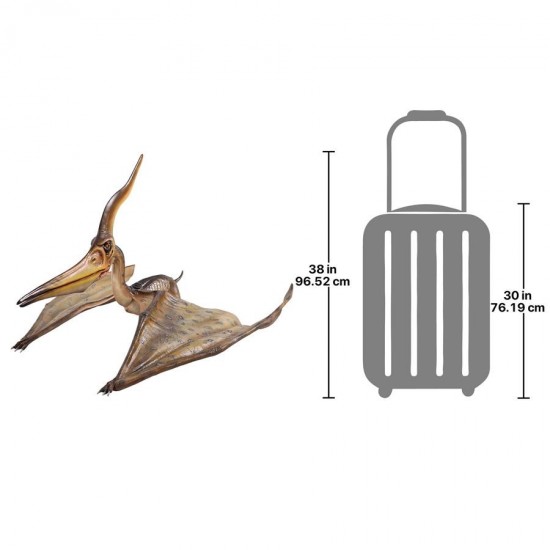 Design Toscano Pteranodon Ingens Statue Frt-Quote