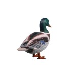 Design Toscano Massive Mallard Duck Statue