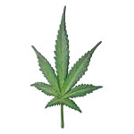 Design Toscano Cannabis Leaf Wall Sculpture