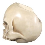 Design Toscano Bone Skull Chair