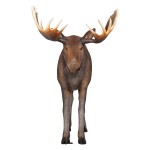 Design Toscano Full Size Moose Statue