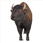 Design Toscano American Bison