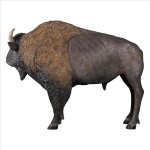 Design Toscano American Bison
