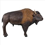 Design Toscano American Bison