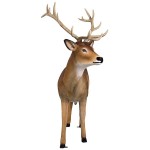 Design Toscano Buck White Tailed Deer Statue