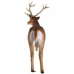 Design Toscano Buck White Tailed Deer Statue