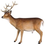 Design Toscano Buck White Tailed Deer Statue