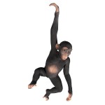 Design Toscano Hanging Chimp Jungle Monkey Statue