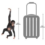 Design Toscano Hanging Chimp Jungle Monkey Statue