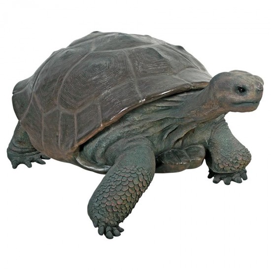 Design Toscano Grand Scale Galapagos Tortoise Statue