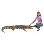 Design Toscano Stalking Swamp Alligator Statue