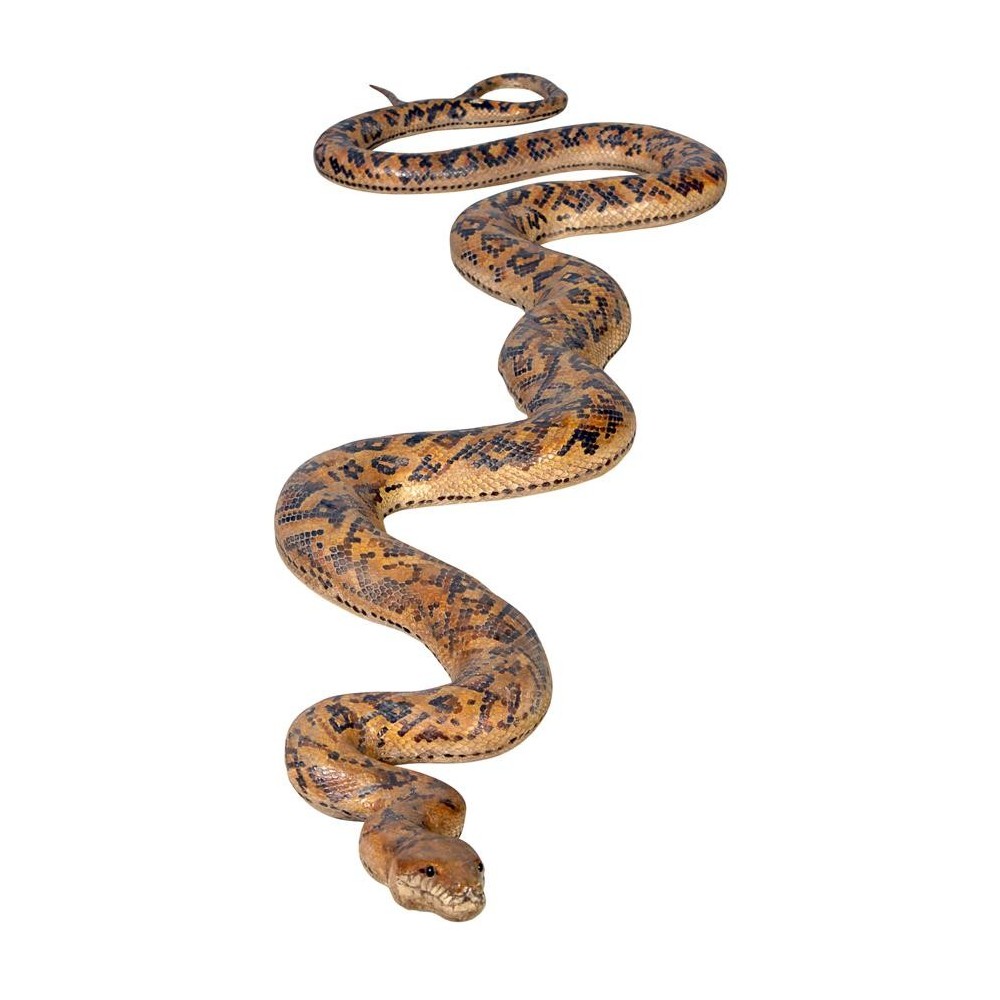 Design Toscano Giant Burmese Python Statue