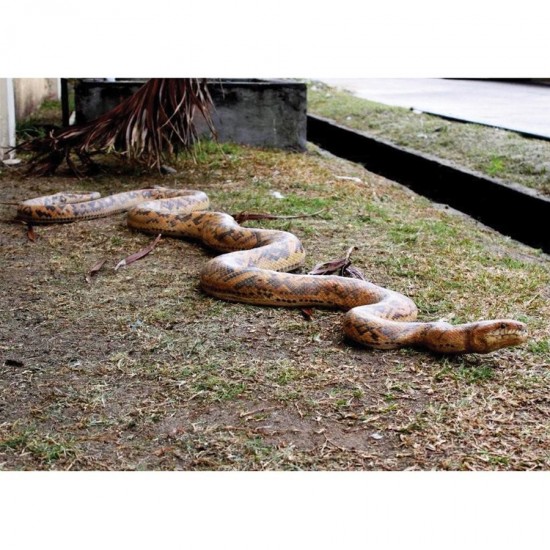 Design Toscano Giant Burmese Python Statue