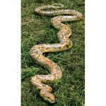 Design Toscano Giant Burmese Python Statue