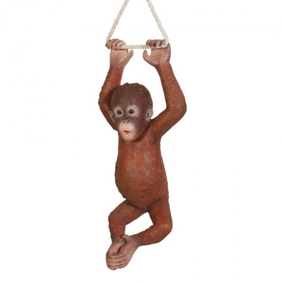 Design Toscano Pongo The Hanging Baby Orangutan