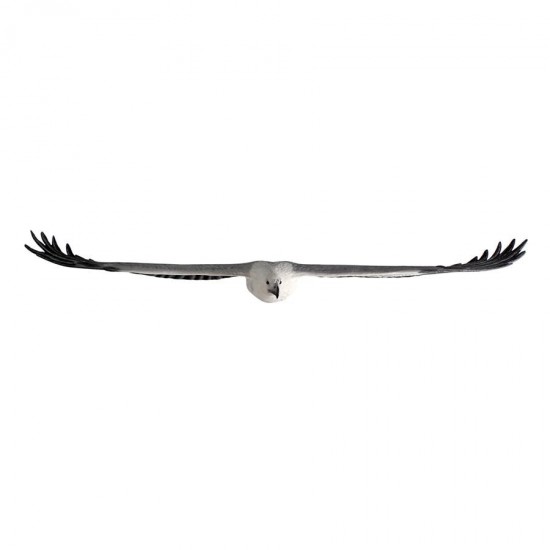 Design Toscano Wingspan Seagull Statue