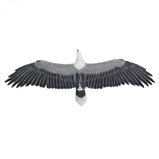 Design Toscano Wingspan Seagull Statue