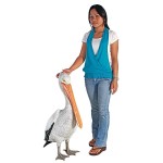 Design Toscano Giant White Pelican Statue