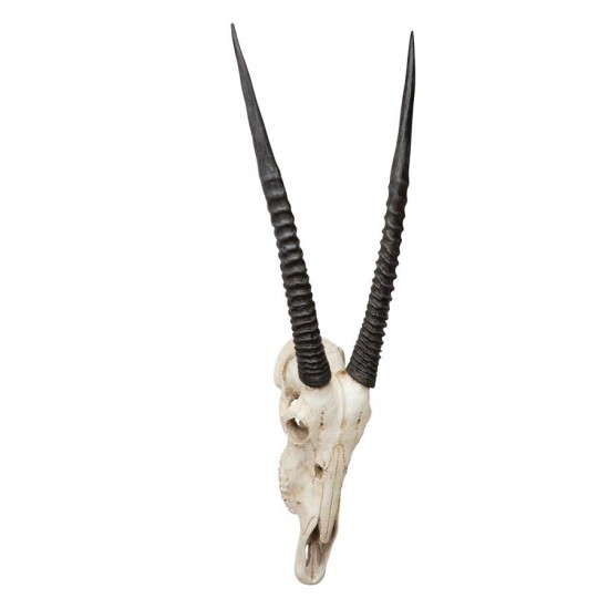 Design Toscano Gemsbok Wall Trophy