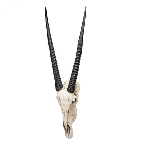 Design Toscano Gemsbok Wall Trophy