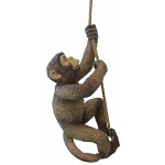 Design Toscano Makokou The Climbing Monkey