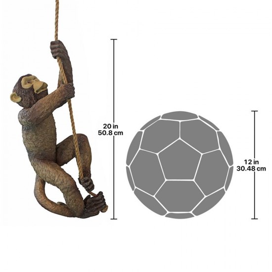 Design Toscano Makokou The Climbing Monkey