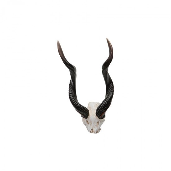 Design Toscano Kudu Wall Trophy