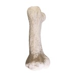 Design Toscano Gigantic Dinosaur Bone Statue