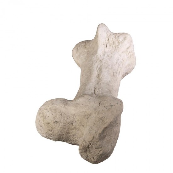 Design Toscano Gigantic Dinosaur Bone Statue