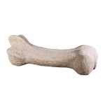 Design Toscano Gigantic Dinosaur Bone Statue