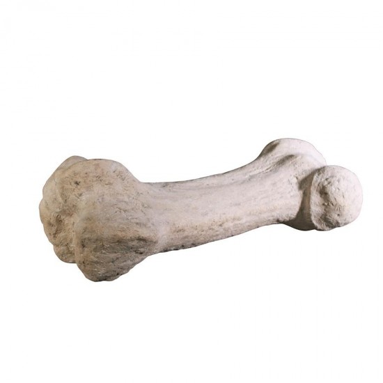 Design Toscano Gigantic Dinosaur Bone Statue