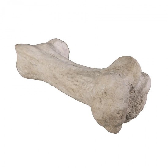 Design Toscano Gigantic Dinosaur Bone Statue