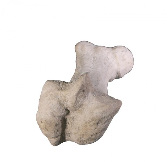 Design Toscano Gigantic Dinosaur Bone Statue