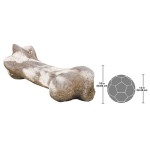 Design Toscano Gigantic Dinosaur Bone Statue